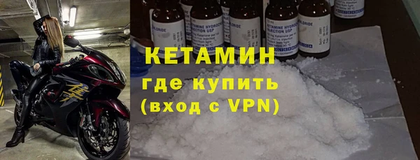 индика Краснослободск
