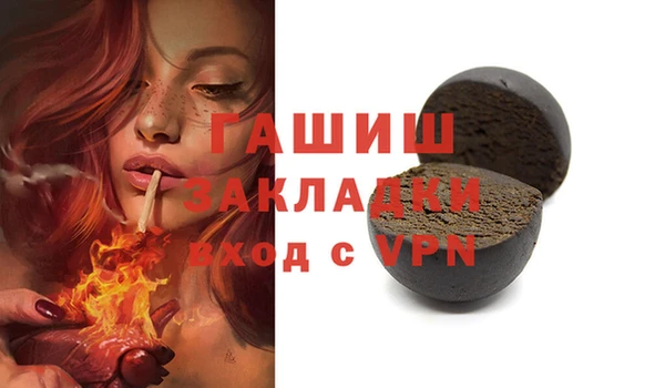 индика Краснослободск
