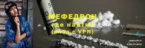 индика Краснослободск