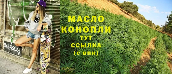 индика Краснослободск