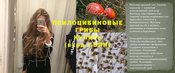 индика Краснослободск