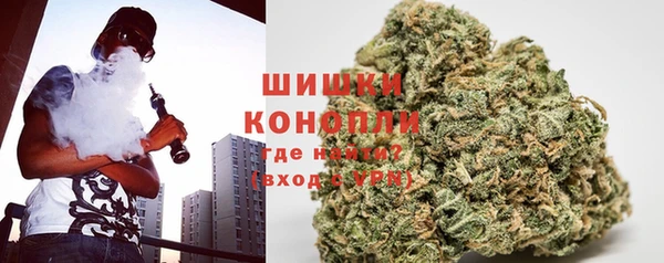 индика Краснослободск