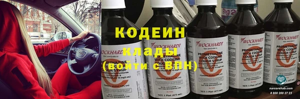 индика Краснослободск
